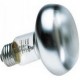 LAMPE/AMPOULE REPTI BASKING SP 60W -ZM ZOOMED