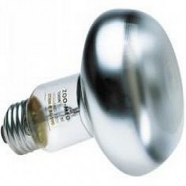 LAMPE/AMPOULE REPTI BASKING SP 60W -ZM ZOOMED