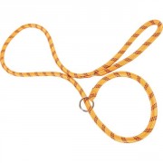 Laisse /collier nylon corde lasso - Orange 1,80m