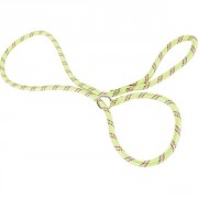 Laisse /collier nylon corde lasso - Anis 1,80m