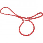 Laisse /collier nylon corde lasso - Rouge 1,80m